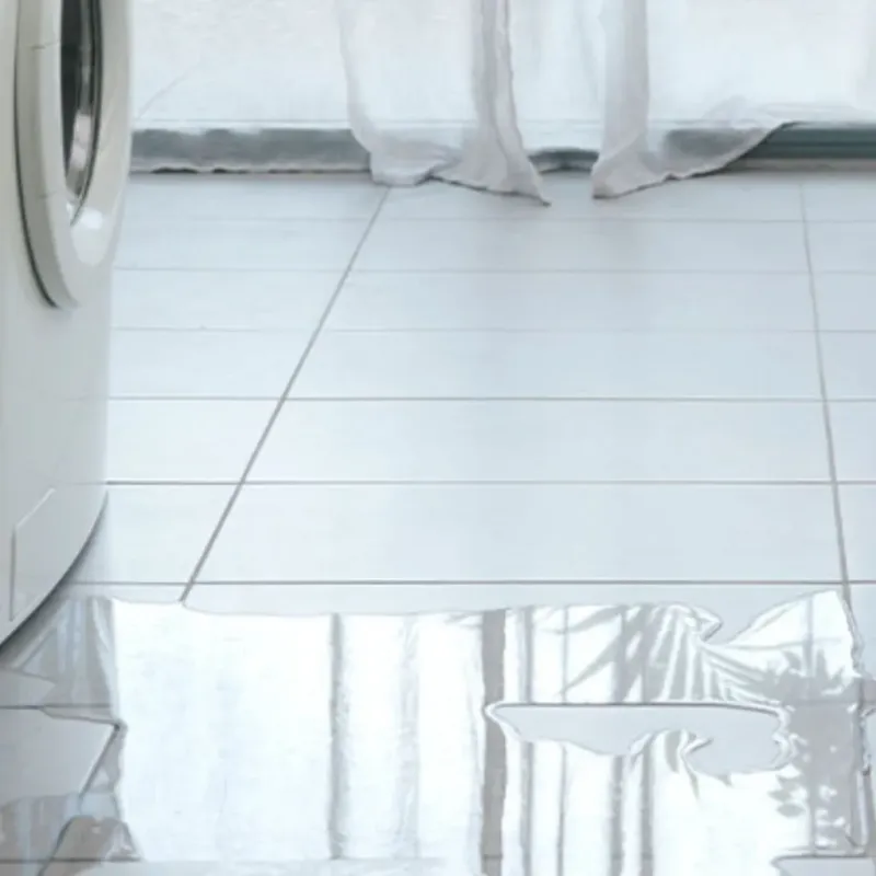 Appliance Leak Cleanup in Kekaha, HI